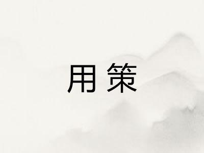 用策