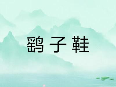 鹞子鞋