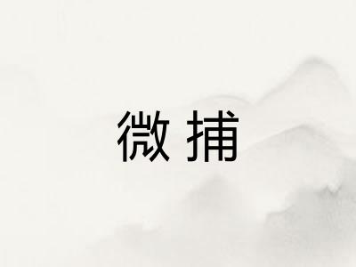 微捕