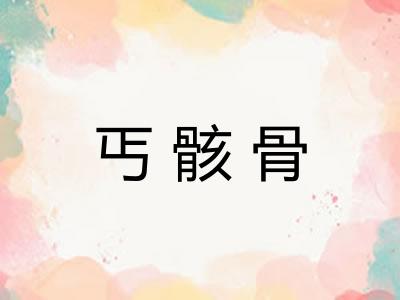 丐骸骨