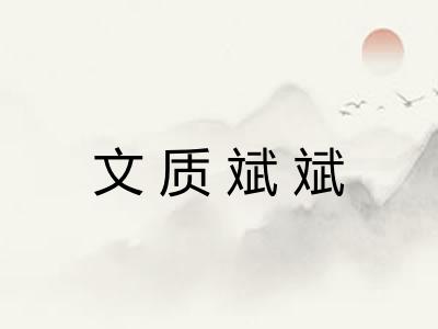 文质斌斌