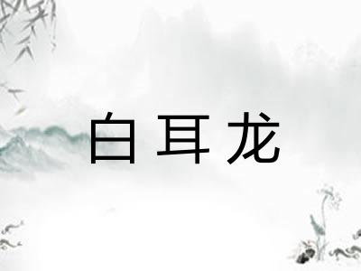 白耳龙