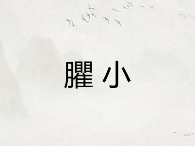 臞小