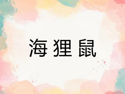 海狸鼠