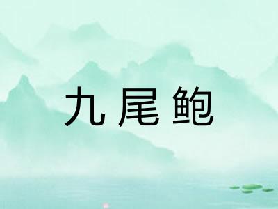 九尾鲍