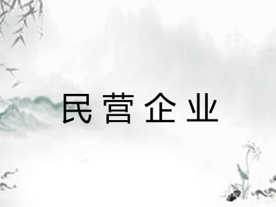 民营企业