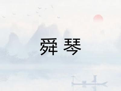 舜琴