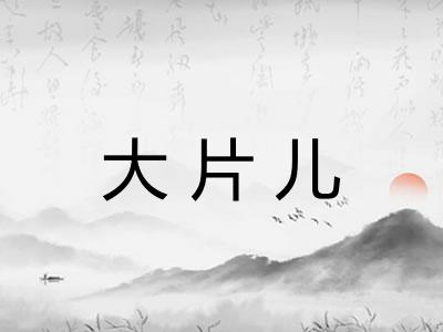 大片儿
