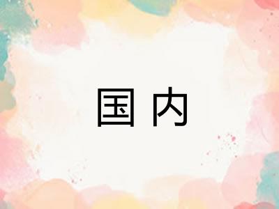 国内
