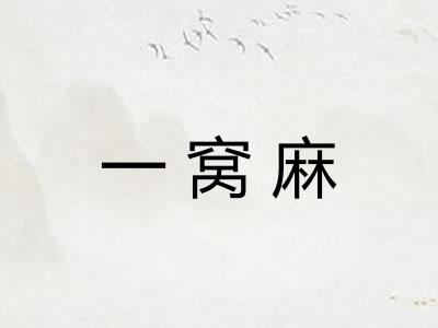 一窝麻