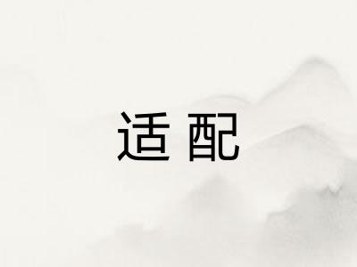 适配