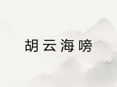 胡云海嗙