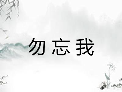 勿忘我
