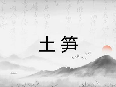 土笋