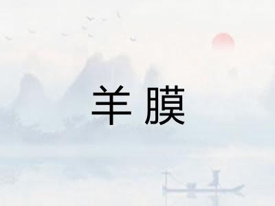 羊膜