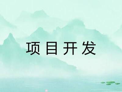 项目开发