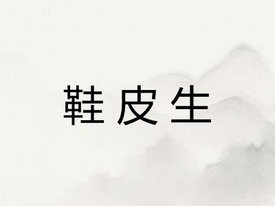 鞋皮生