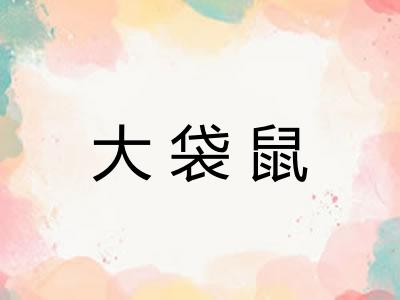 大袋鼠