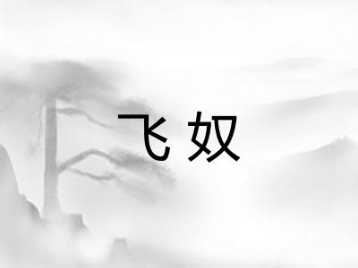 飞奴