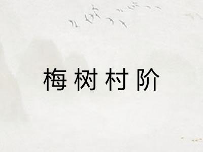 梅树村阶