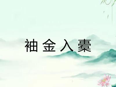 袖金入橐