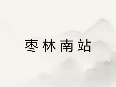 枣林南站