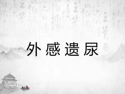 外感遗尿