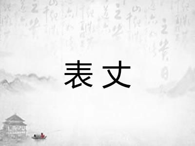 表丈