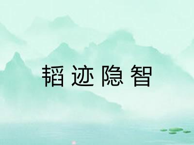 韬迹隐智