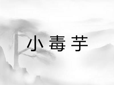 小毒芋
