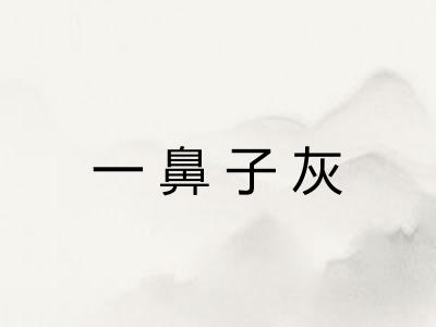 一鼻子灰