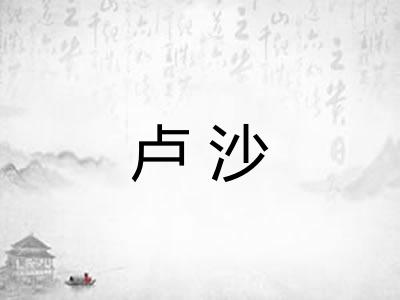 卢沙