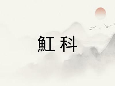 魟科
