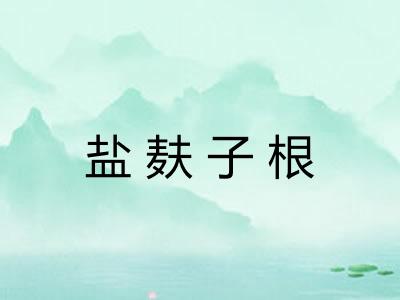 盐麸子根