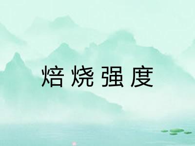 焙烧强度