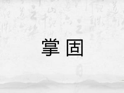 掌固