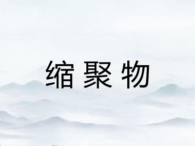 缩聚物