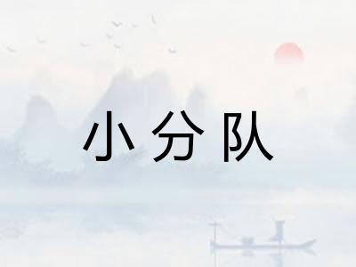 小分队