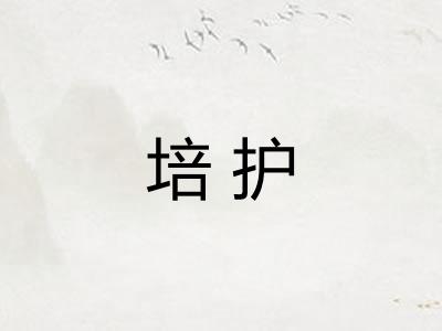 培护