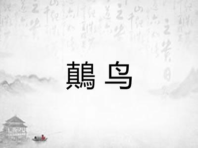 鷏鸟