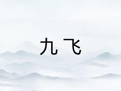 九飞