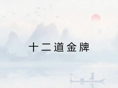 十二道金牌