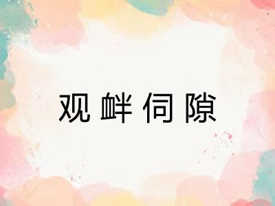 观衅伺隙