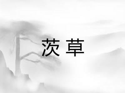 茨草