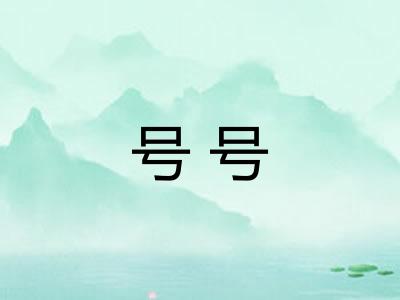 号号