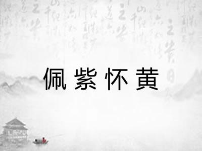 佩紫怀黄