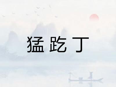 猛趷丁