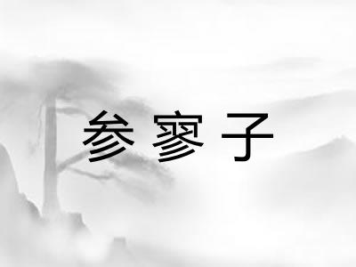 参寥子