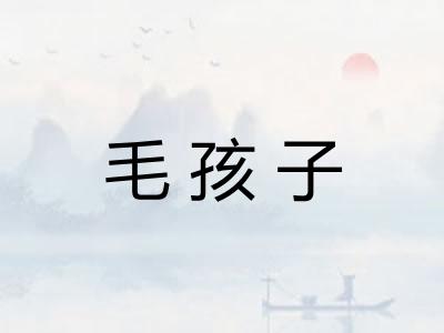 毛孩子