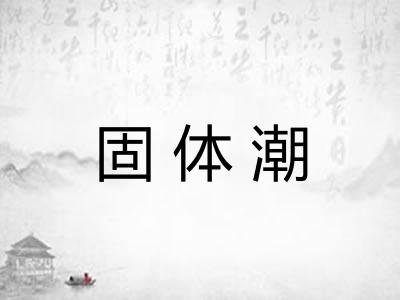 固体潮
